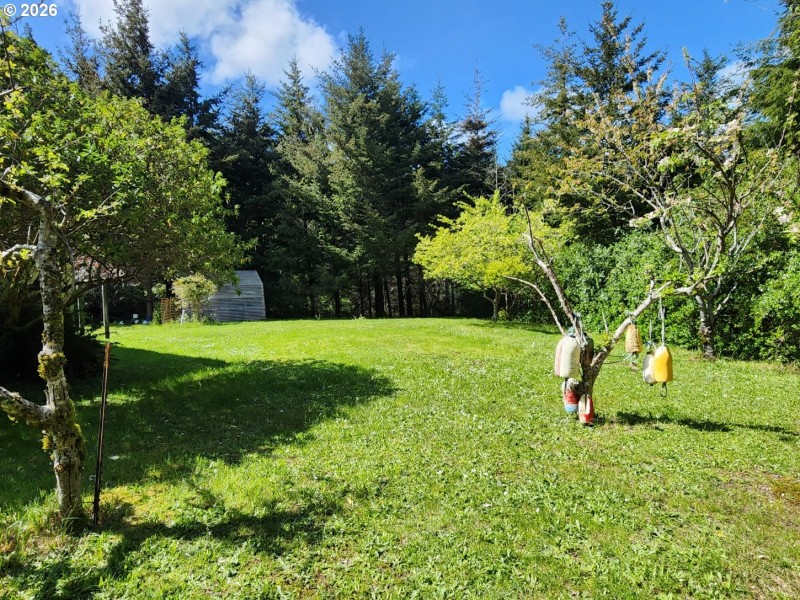 Yard