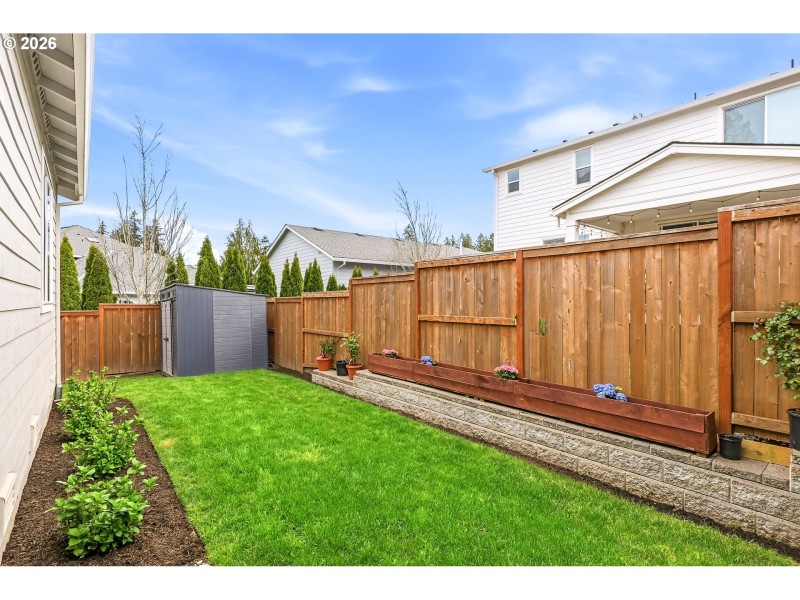 Backyard