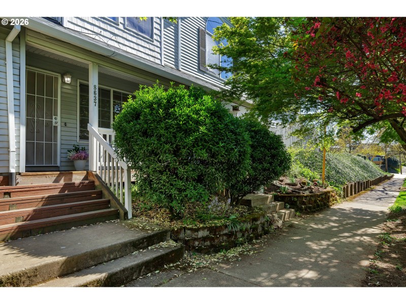 Front Yard