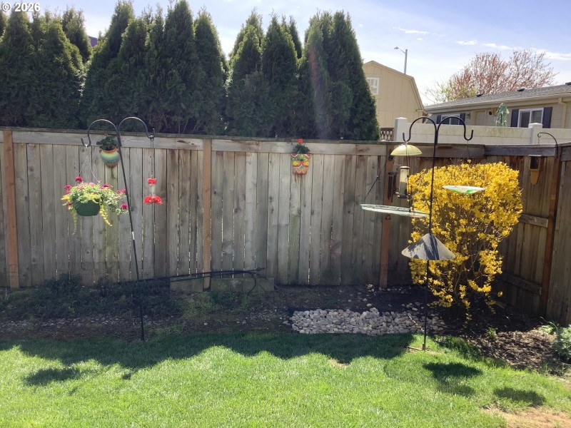 Yard