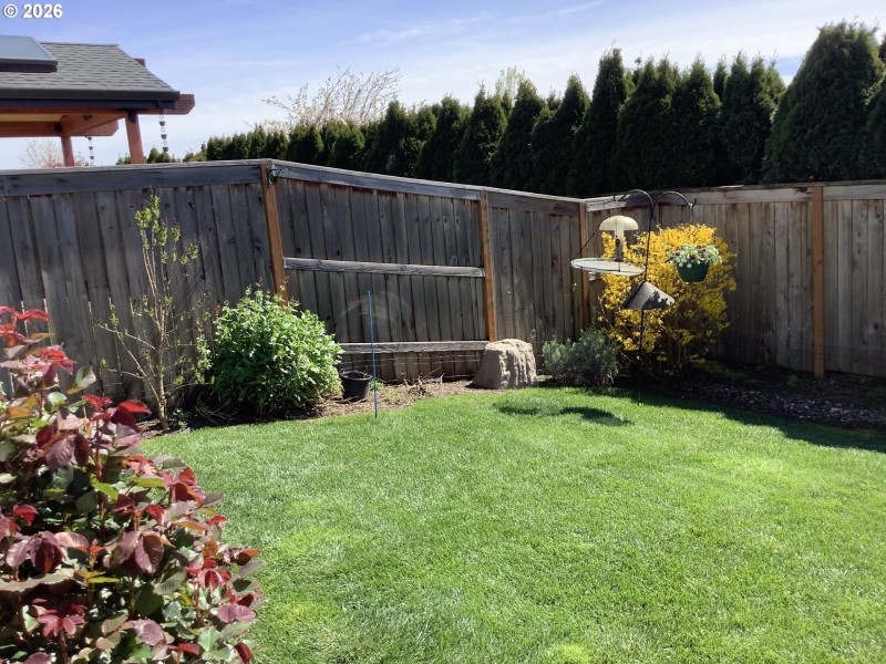 Yard