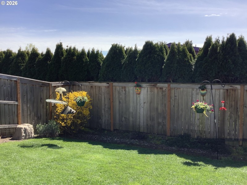 Yard