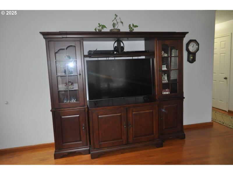 Living Room/Entrance