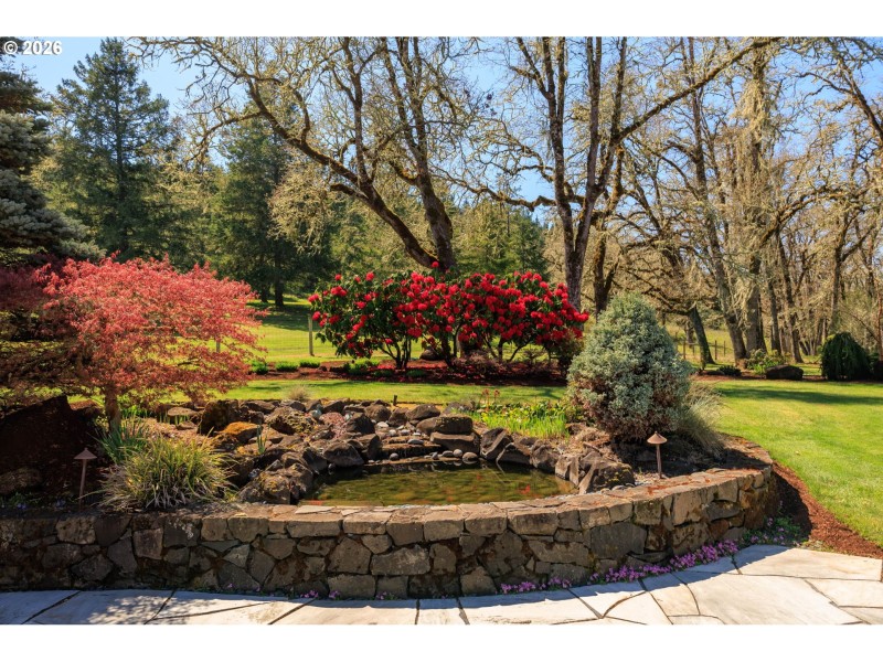 Water Feature