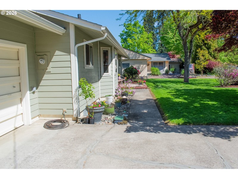 Front Yard