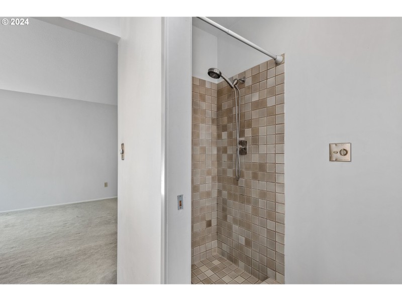 Owner's Suite Bathroom