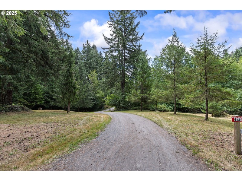 Driveway