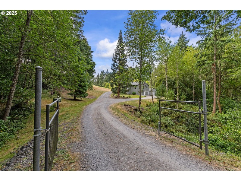 Driveway
