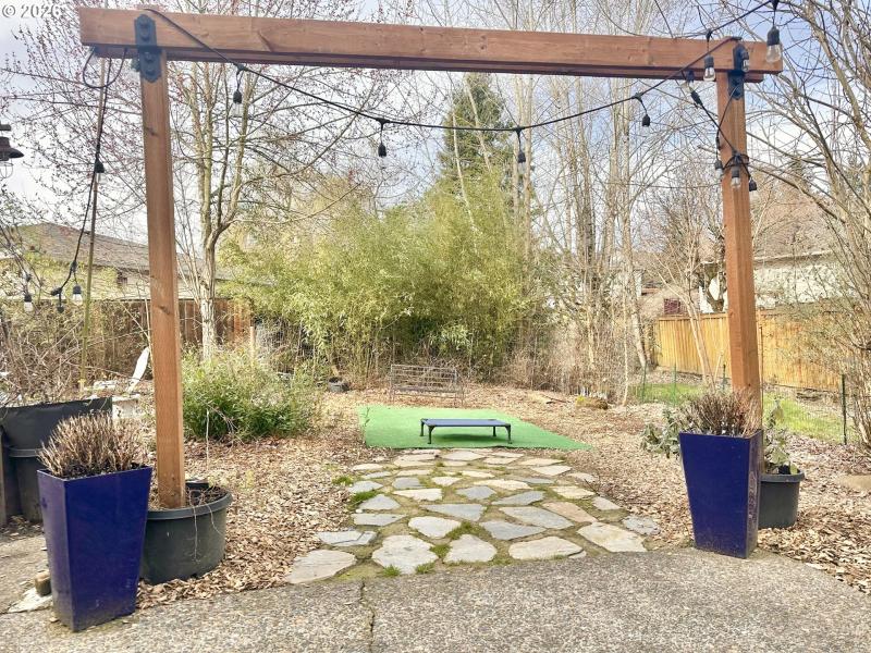 Backyard