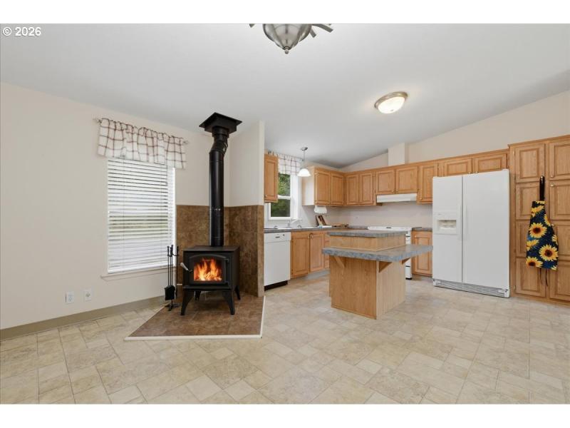 Fireplace Stove