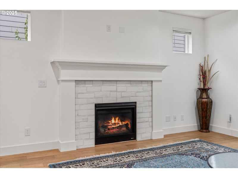 Fireplace Gas