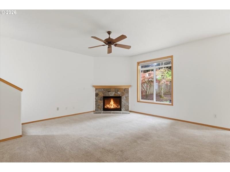 Fireplace Gas