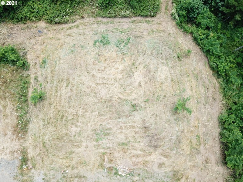 Buildable Area