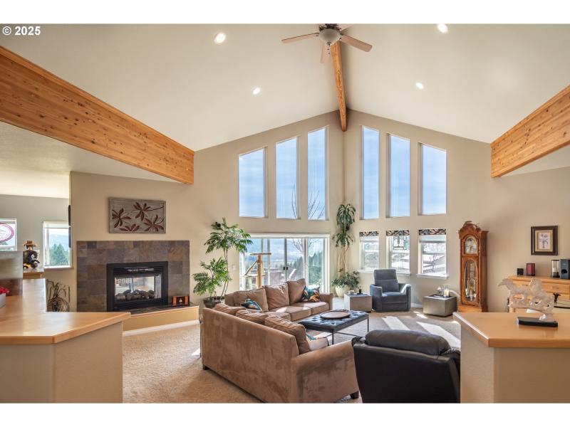 Living Room/Entrance