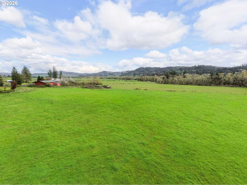 Pasture