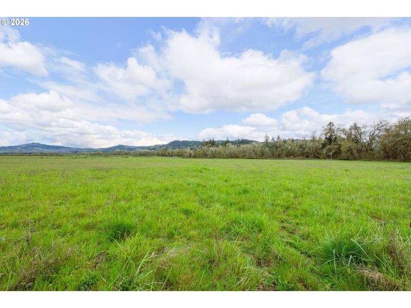 Pasture