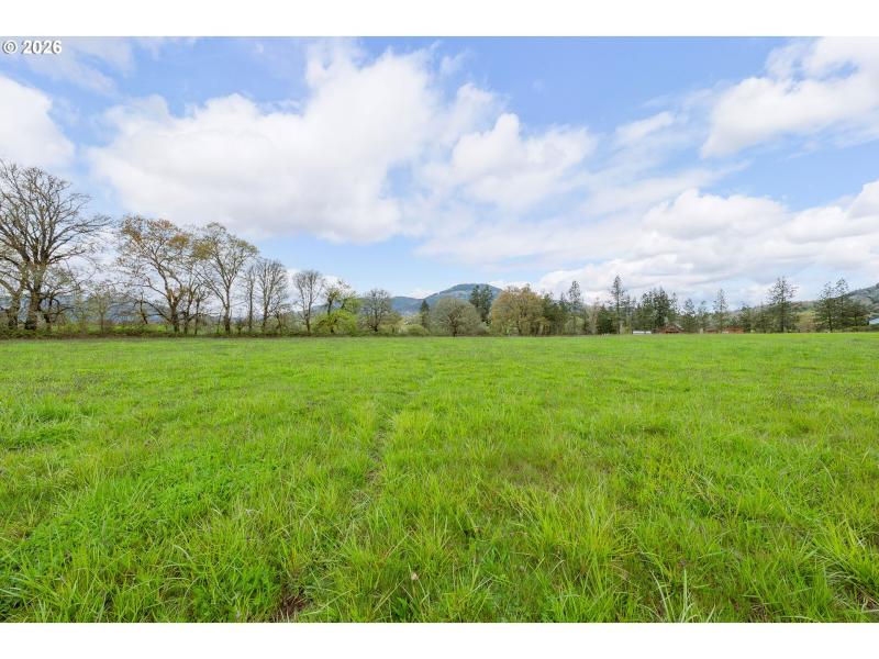 Pasture