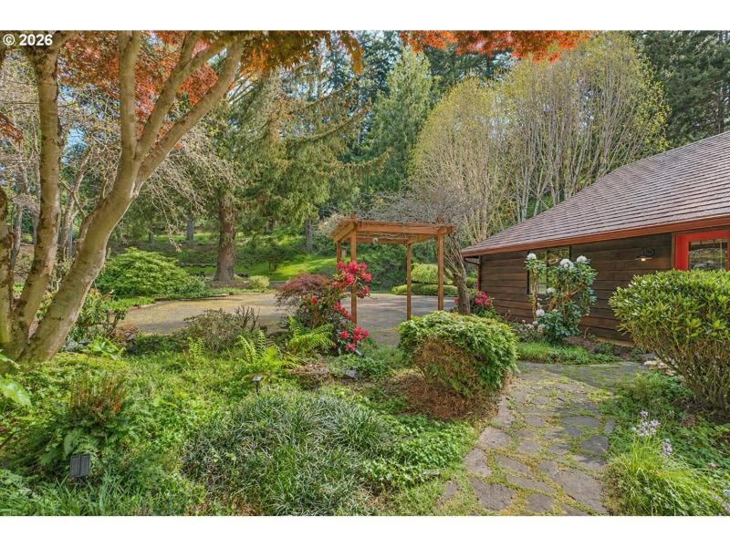 Front Yard