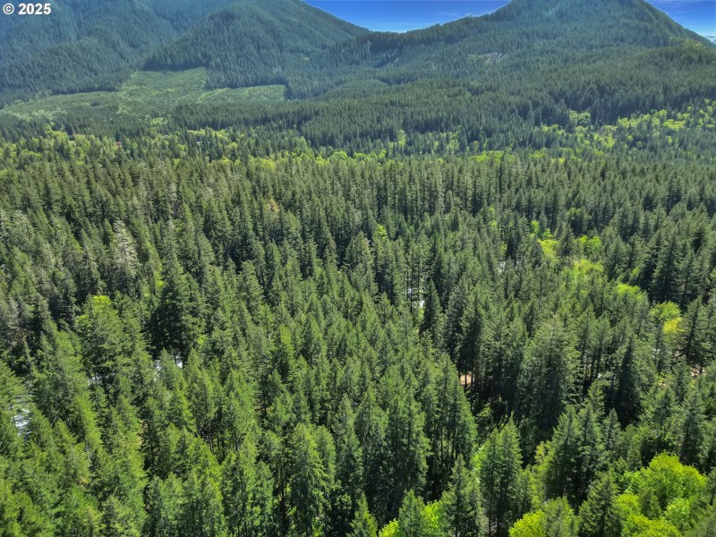 Drone View/UAV