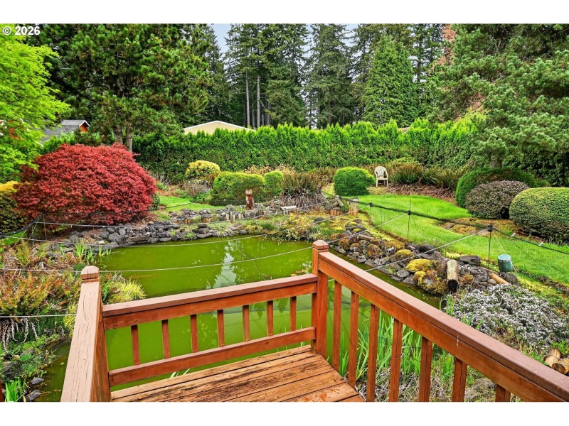 Pond