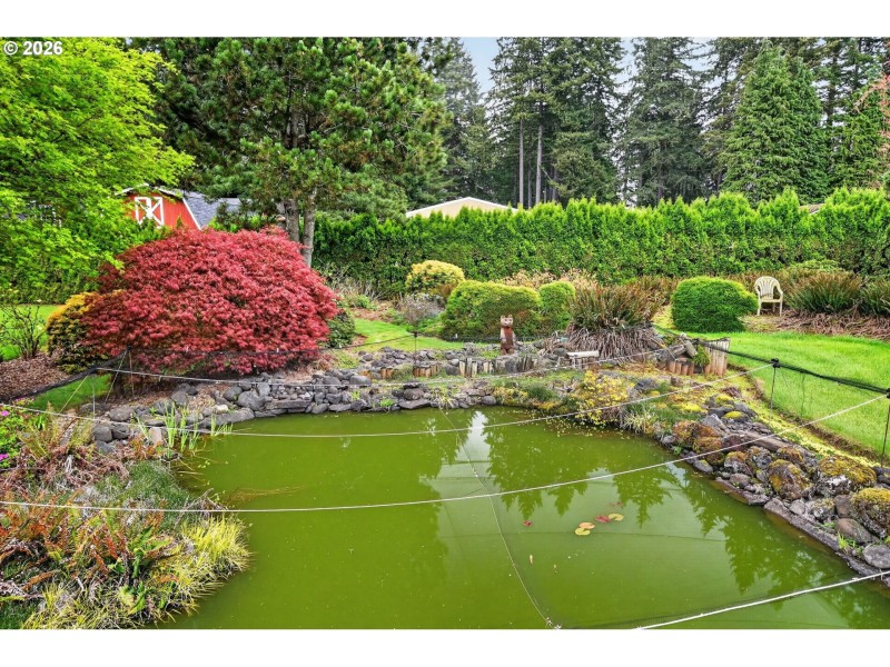 Pond