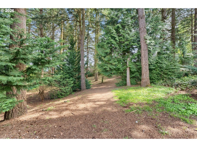 Community Amenities