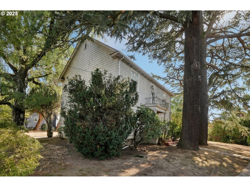 Front Yard