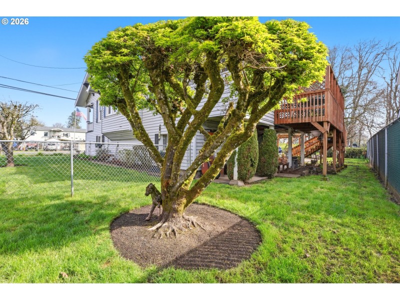 Yard