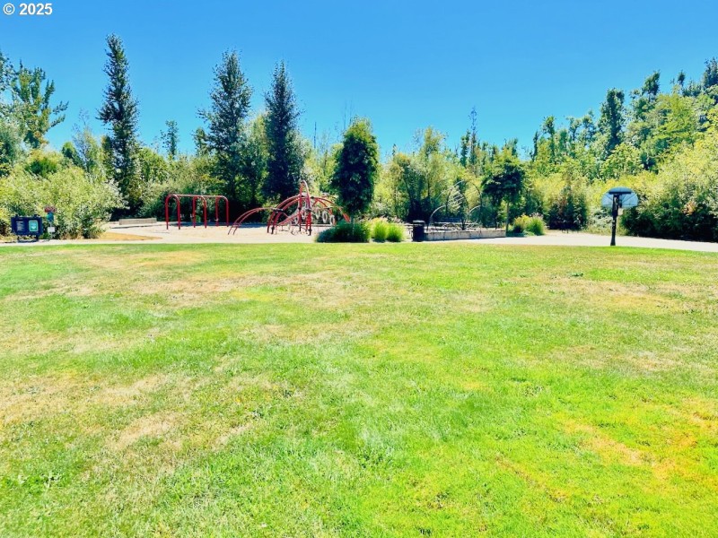 Community Playground