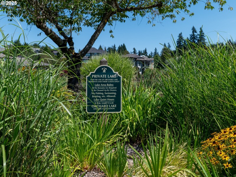 Community Amenities