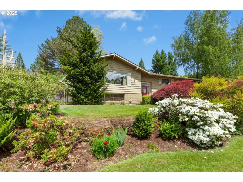 Front Yard