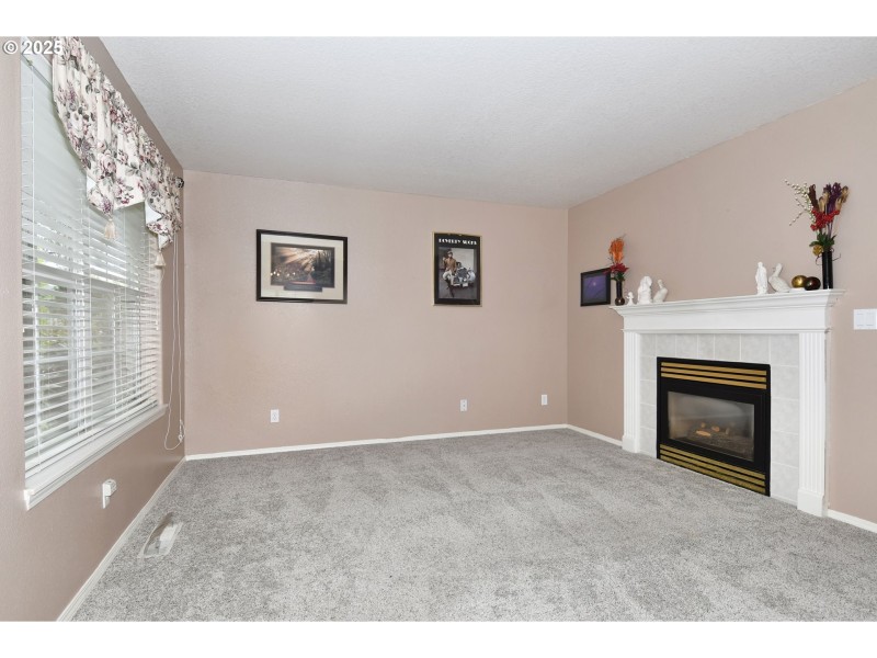 Fireplace Gas