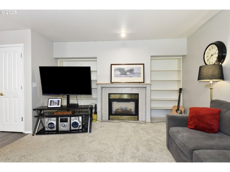 Fireplace Gas