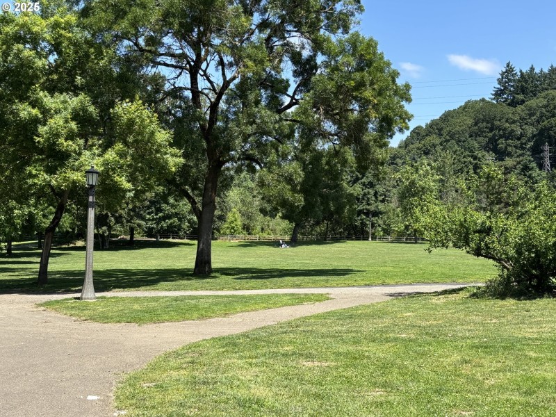 Green Space
