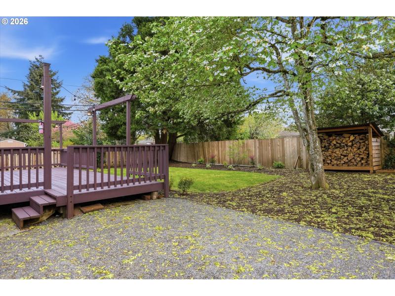 Backyard
