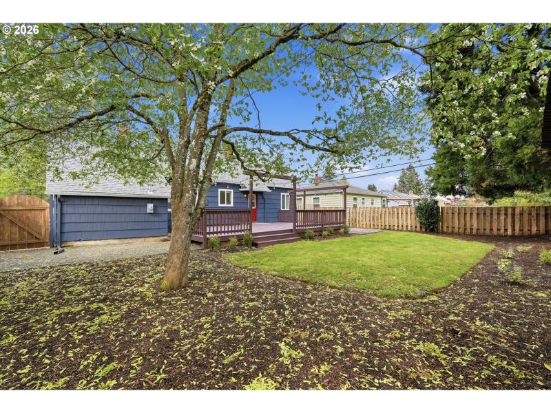 Backyard