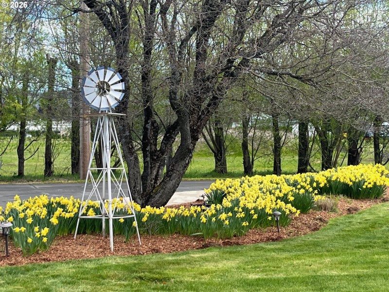 Yard