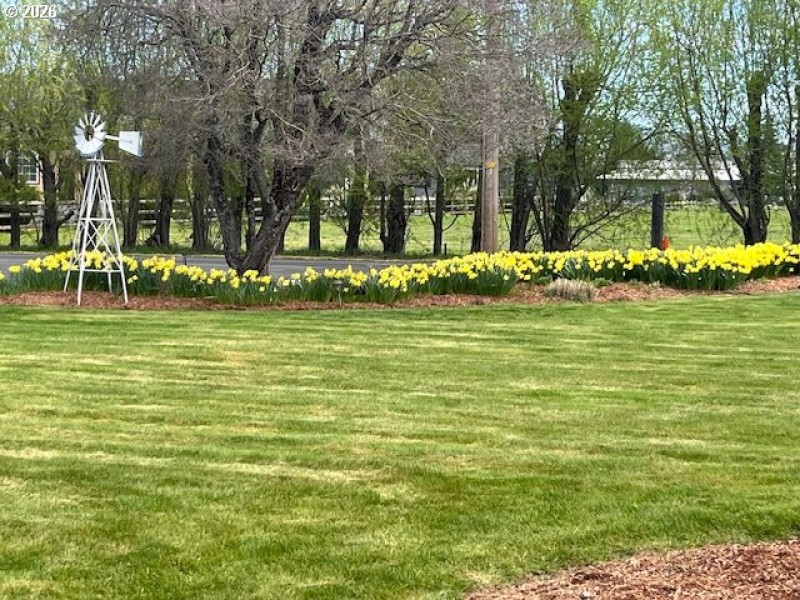 Yard