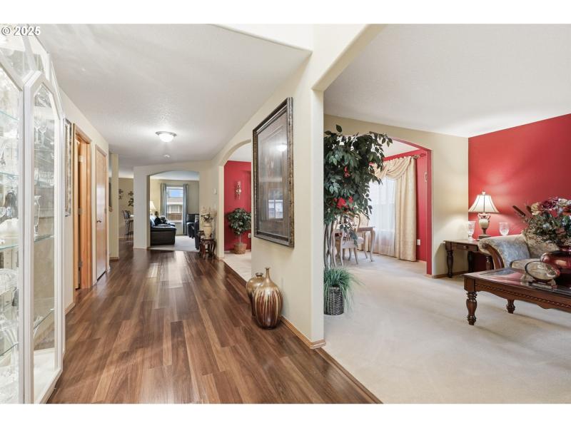 Living Room/Entrance