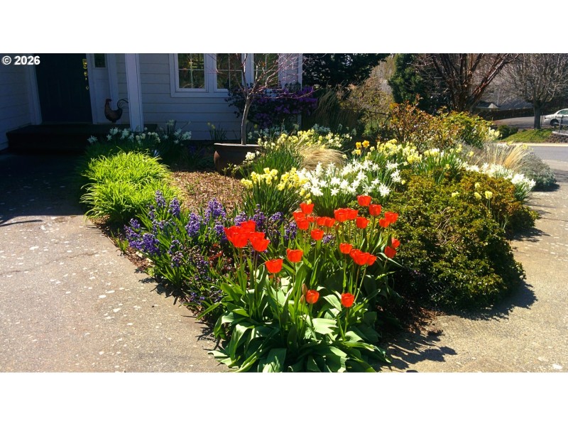 Yard