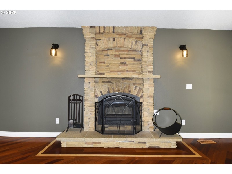 Fireplace Insert