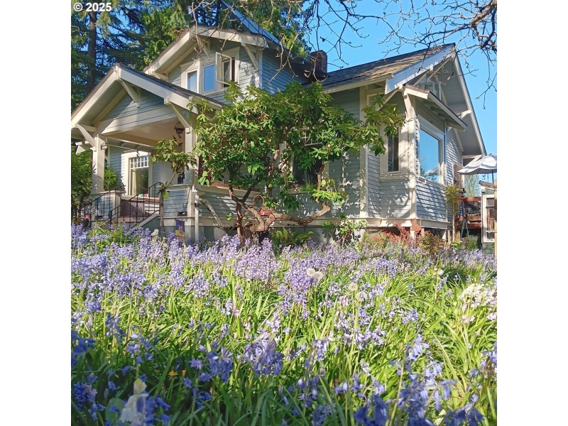 Front Yard