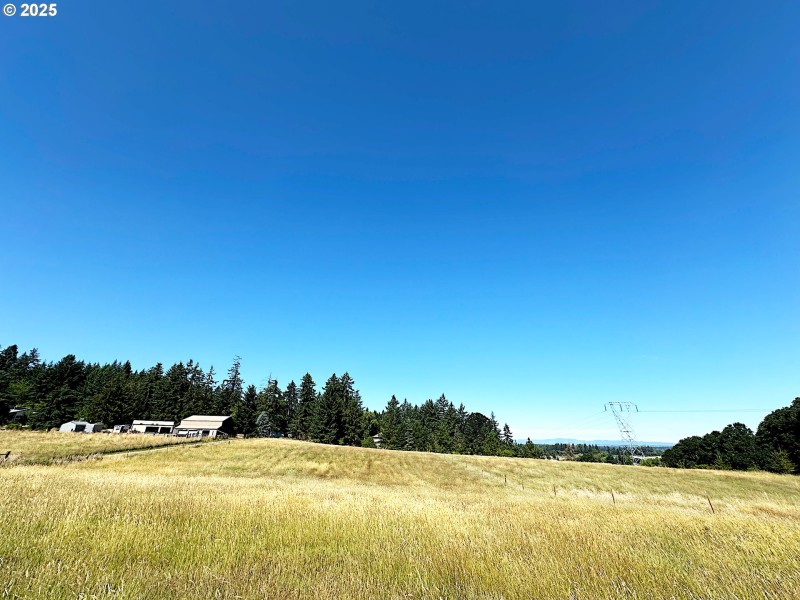 Pasture