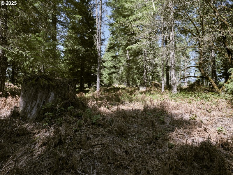 Acreage
