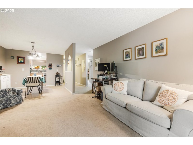 Living Room/Entrance