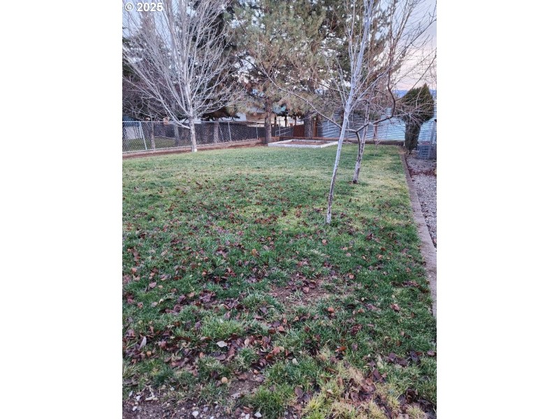Backyard