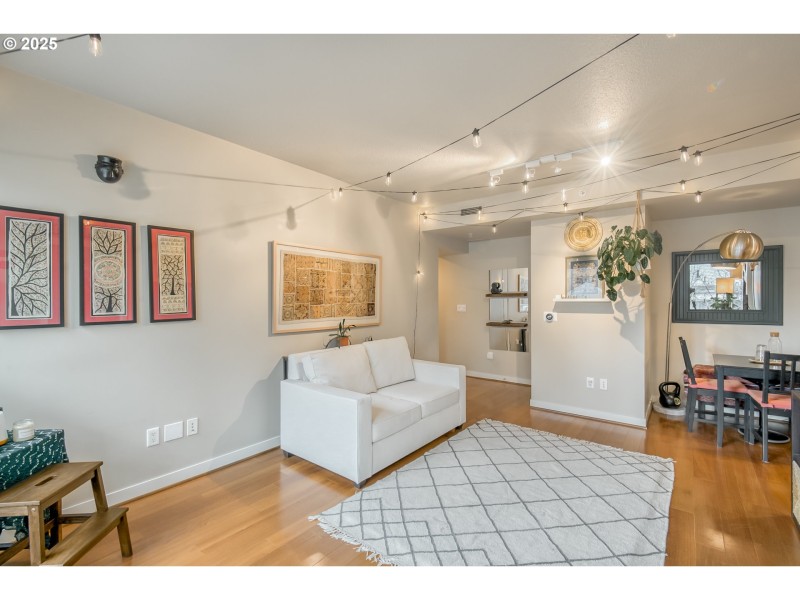 Living Room/Entrance