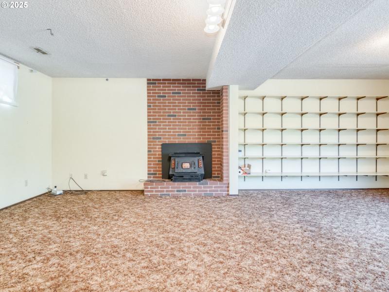 Fireplace Wood Burning Stove/Insert