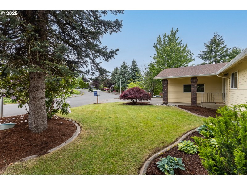Front Yard