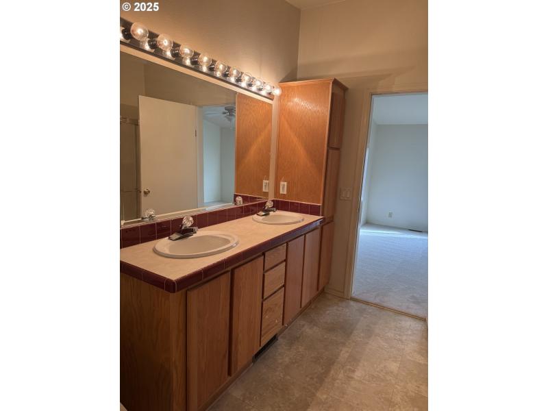 Owner's Suite Bathroom